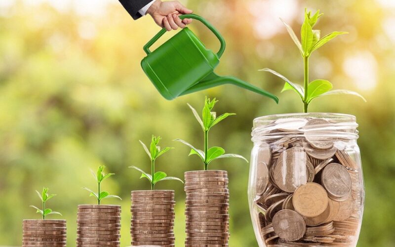 investment plan